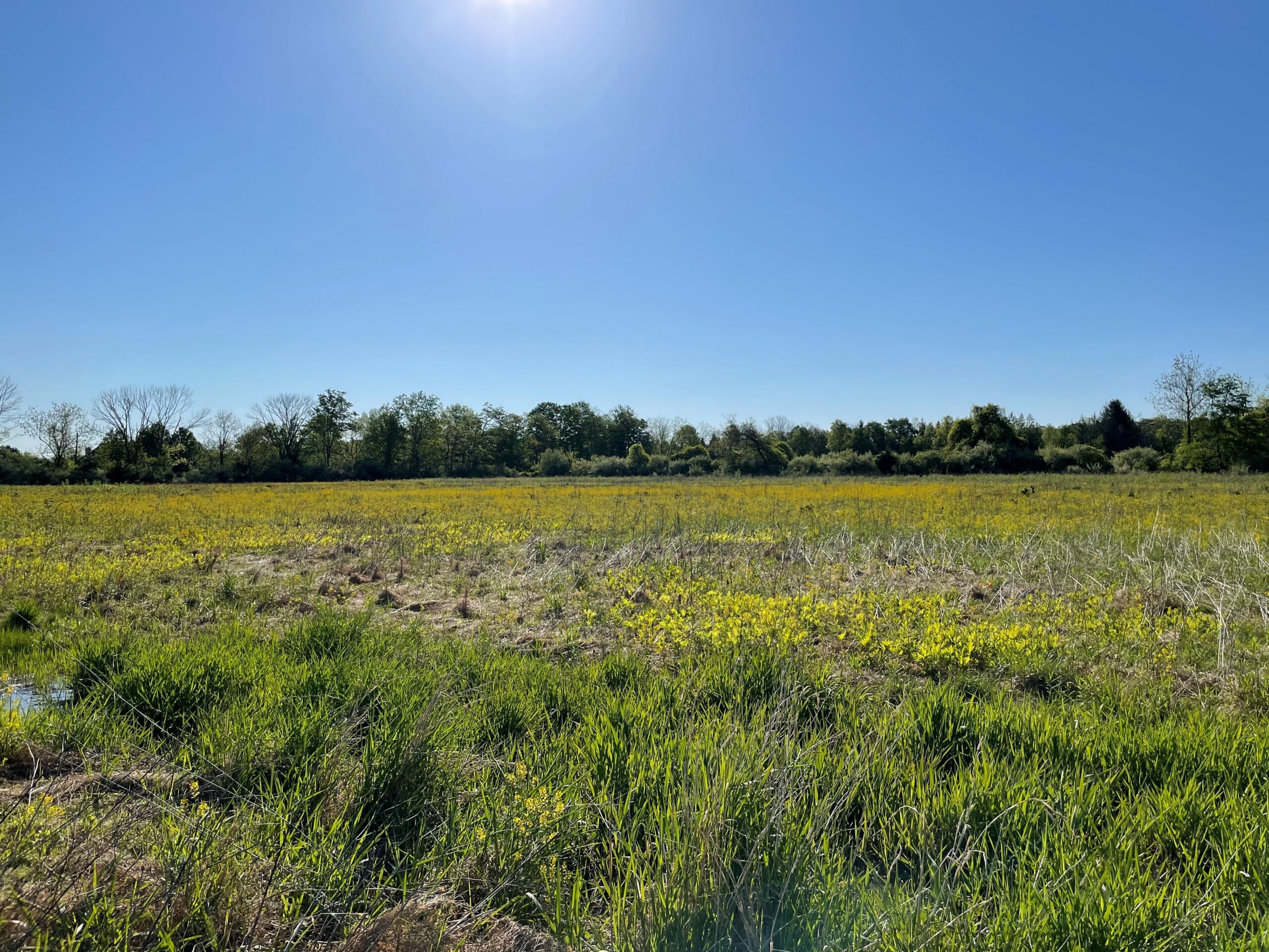 The Estates at Tollgate Farm Plumstead Twp Custom Home Builders