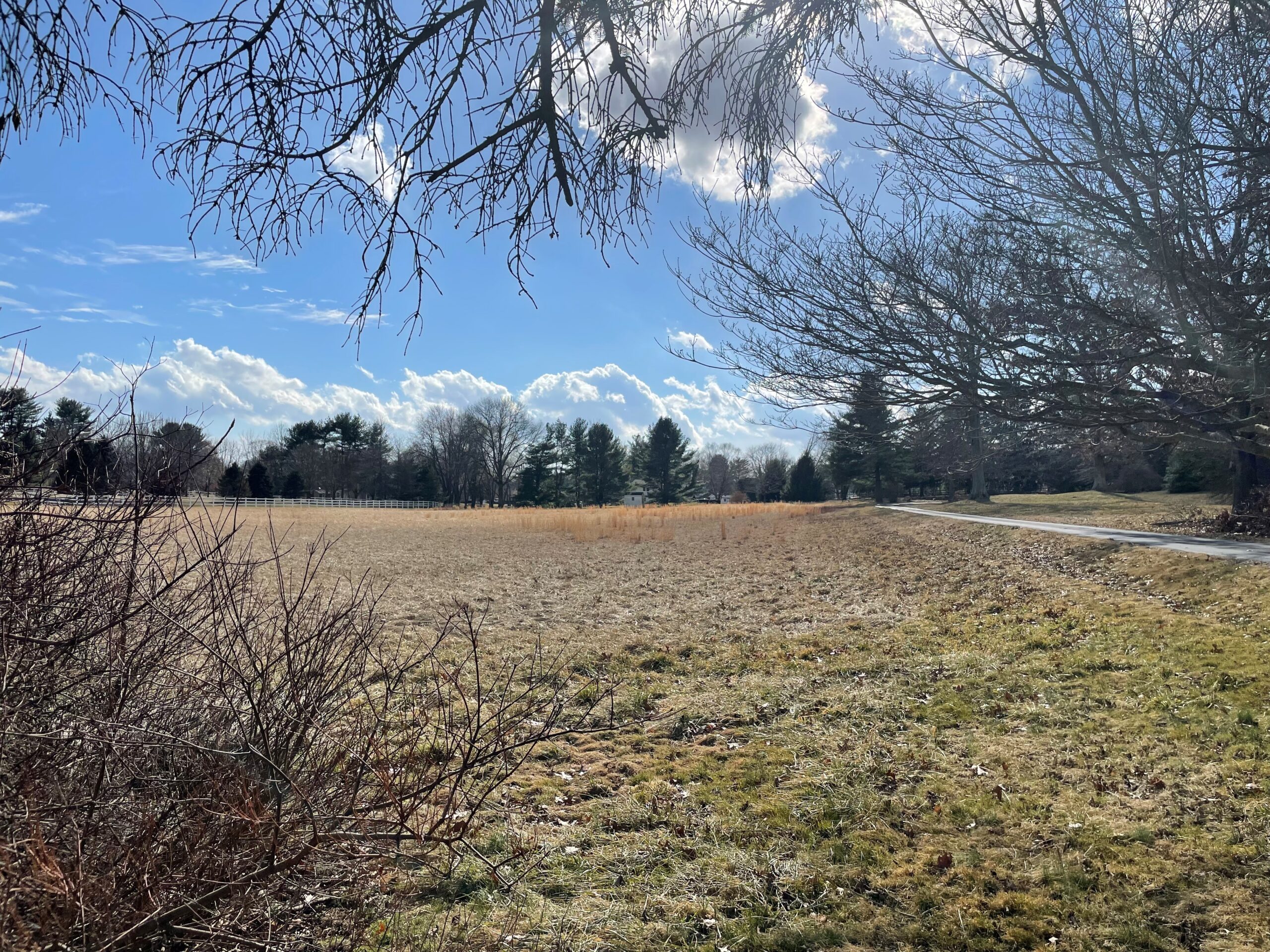 The Meadow Creek Estates Doylestown Custom Home Builders Triumph